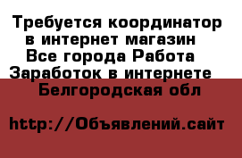 Требуется координатор в интернет-магазин - Все города Работа » Заработок в интернете   . Белгородская обл.